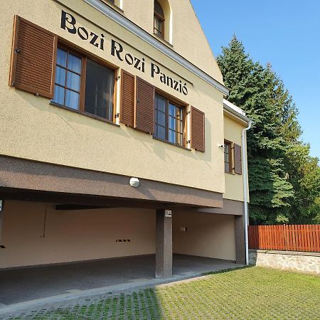 Hotel Bozi Rozi Panzio à Fertőboz Extérieur photo