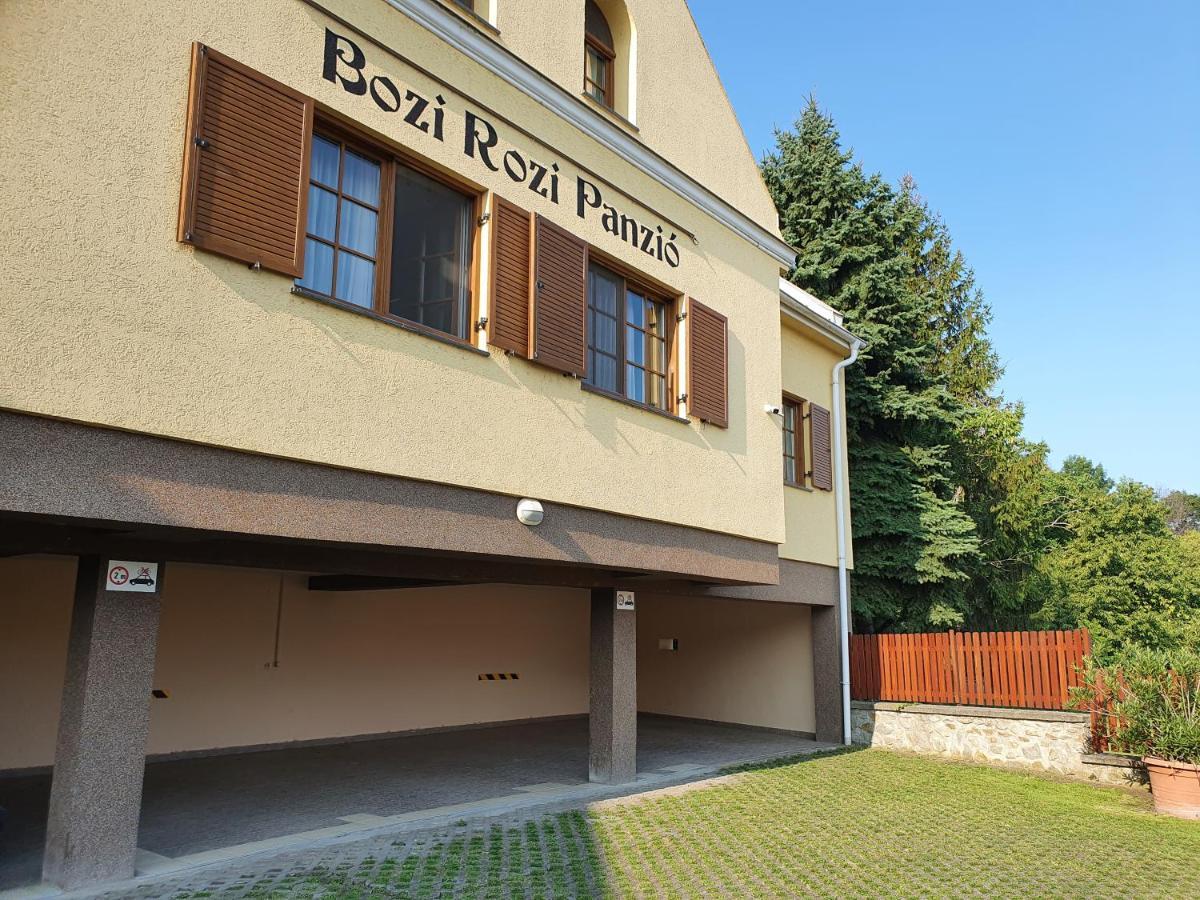 Hotel Bozi Rozi Panzio à Fertőboz Extérieur photo