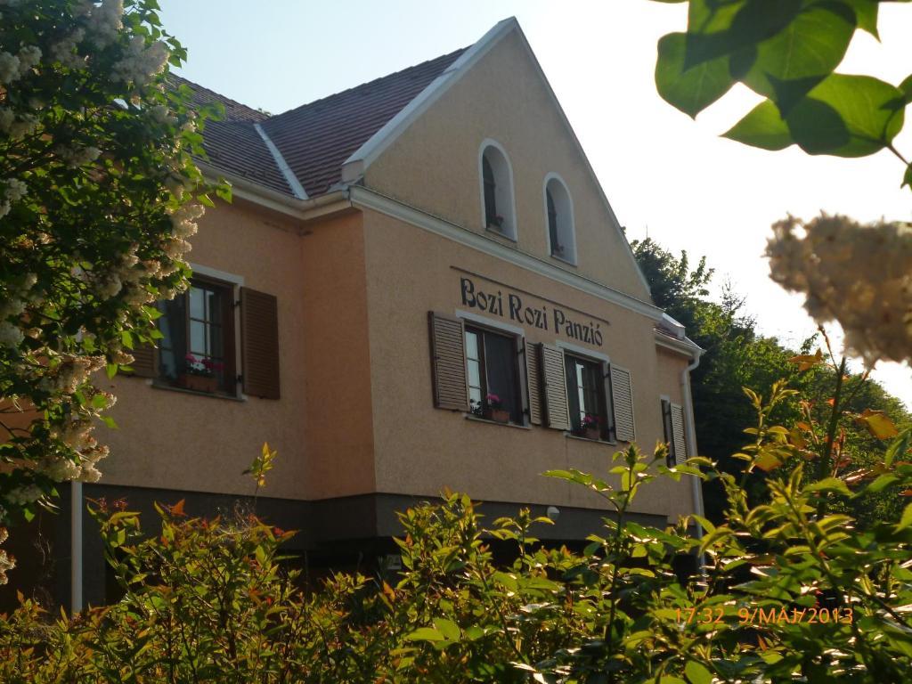Hotel Bozi Rozi Panzio à Fertőboz Extérieur photo
